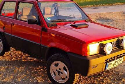 Fiat Panda 104.000 km 3.799 &euro; Rohr 91189