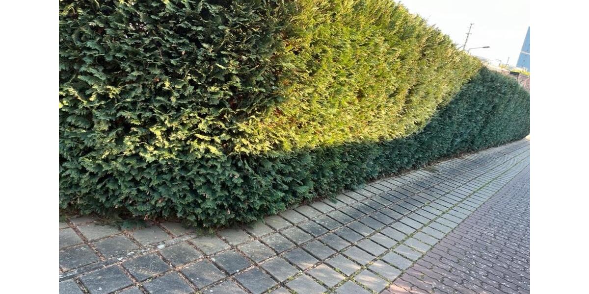 Reihenhaus Nürnberg Gebersdorf - 6.5 Zimmer, 146 m&sup2;, 620.000&euro; | Angebot:26874933