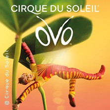 Cirque du Soleil OVO 24.10.2026 Salzburgarena