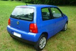 Lupo