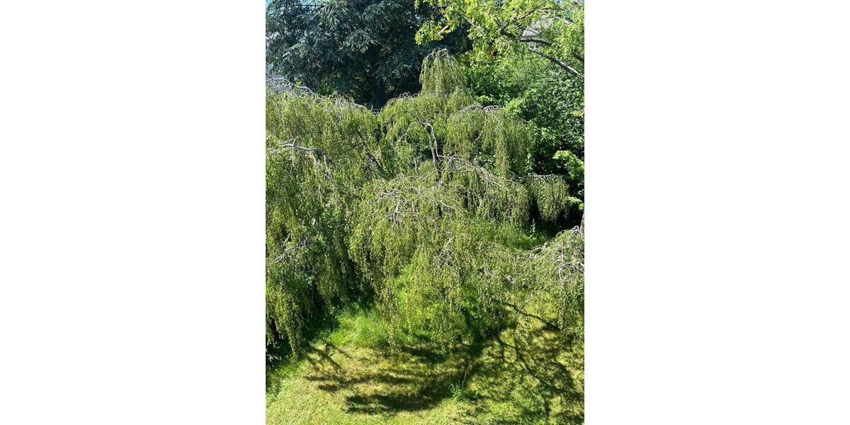 Mehrfamilienhaus, Wohnhaus Schwabach - 750.000&euro; | Angebot:27266378