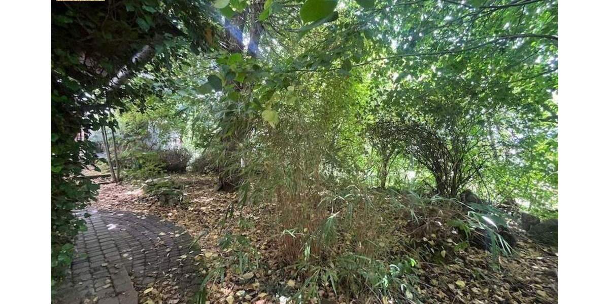 Grundstück Weißenohe - 270.000&euro; | Angebot:25662847