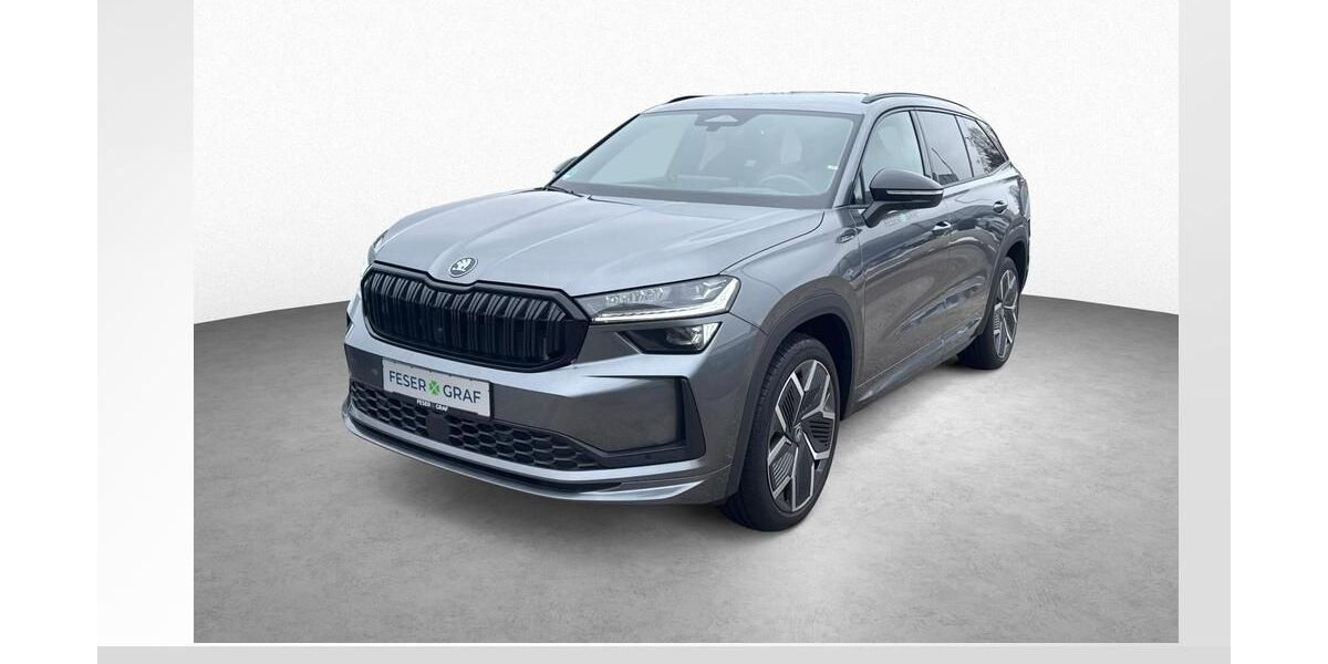 Skoda Kodiaq 8.300 km 50.480 &euro; Roth 91154