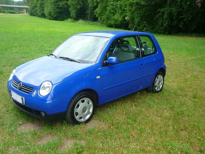 Lupo