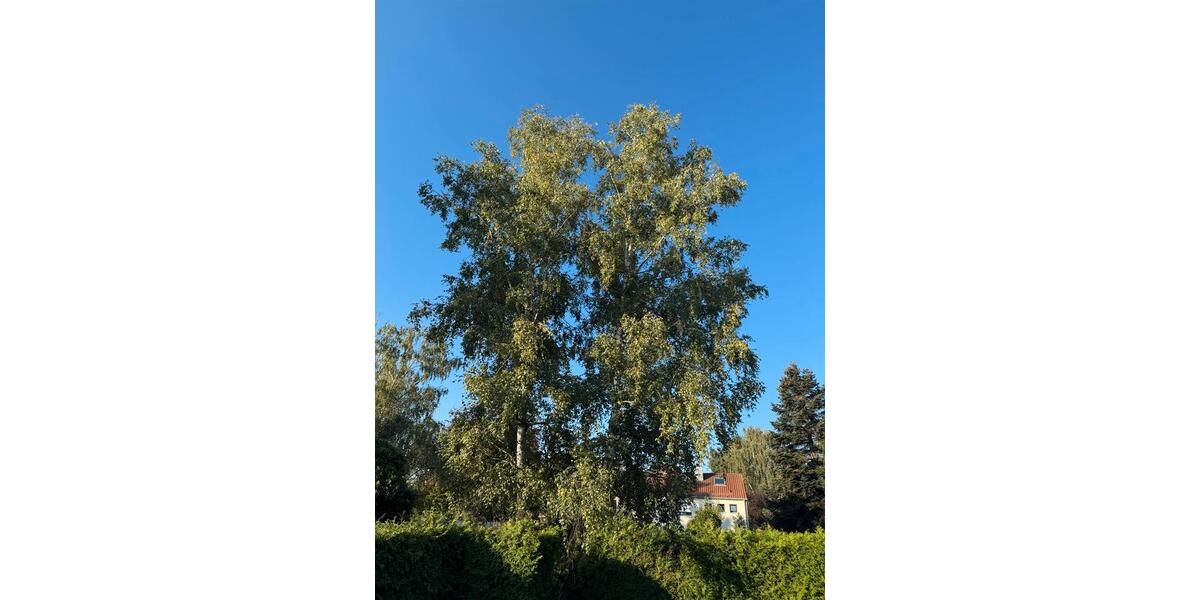 Reihenhaus Nürnberg Zerzabelshof - 5 Zimmer, 144 m&sup2;, 730.000&euro; | Angebot:25251395