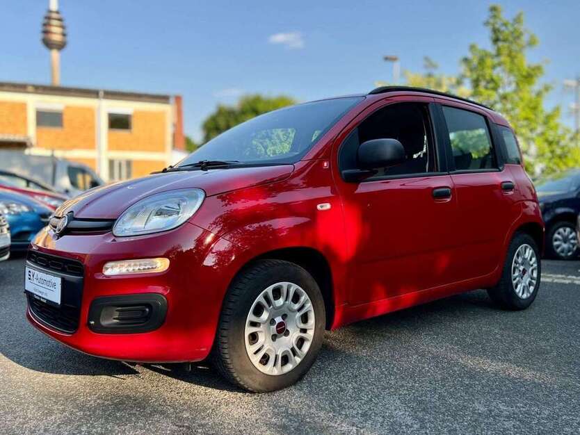 Panda