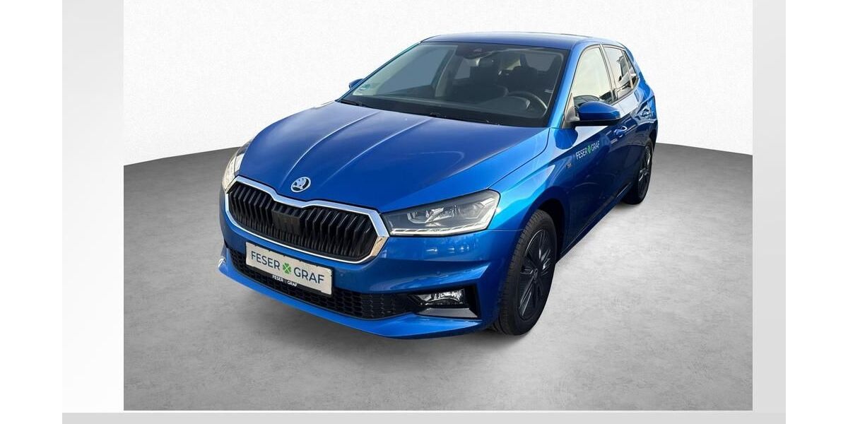 Skoda Fabia 4.900 km 18.980 &euro; Roth 91154