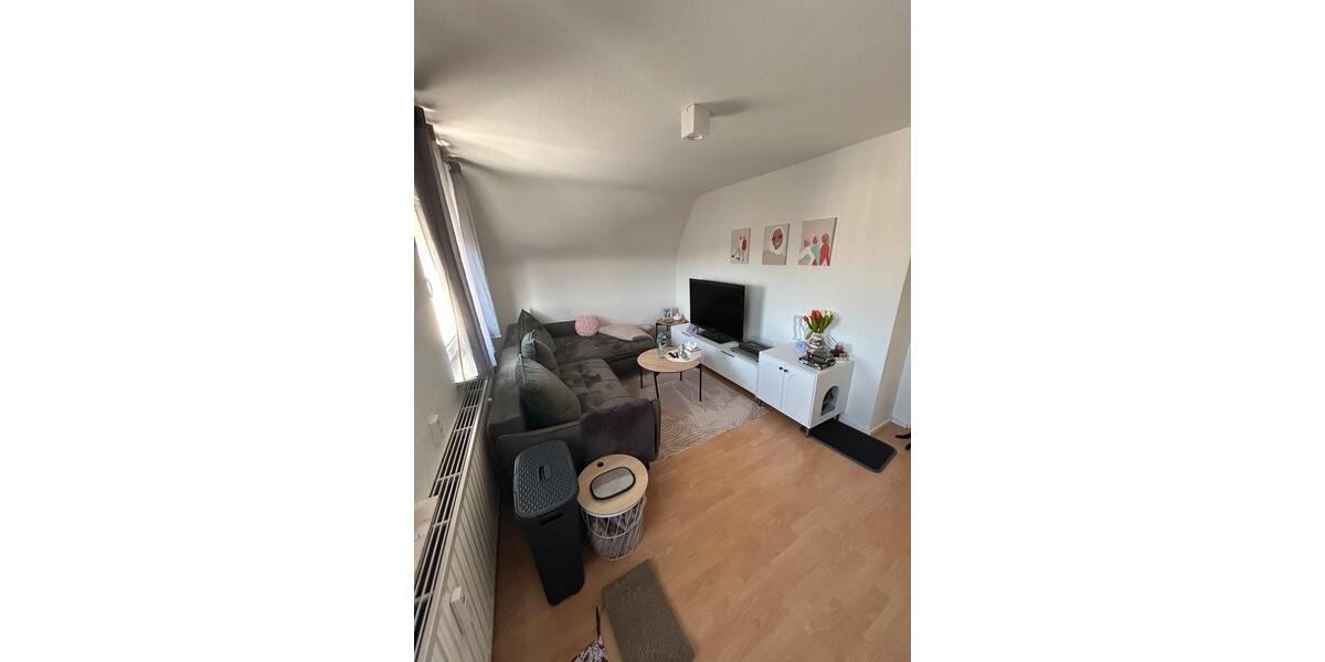 Dachgeschoßwohnung Feucht - 2 Zimmer, 45 m&sup2;, 800&euro; | Angebot:26692043