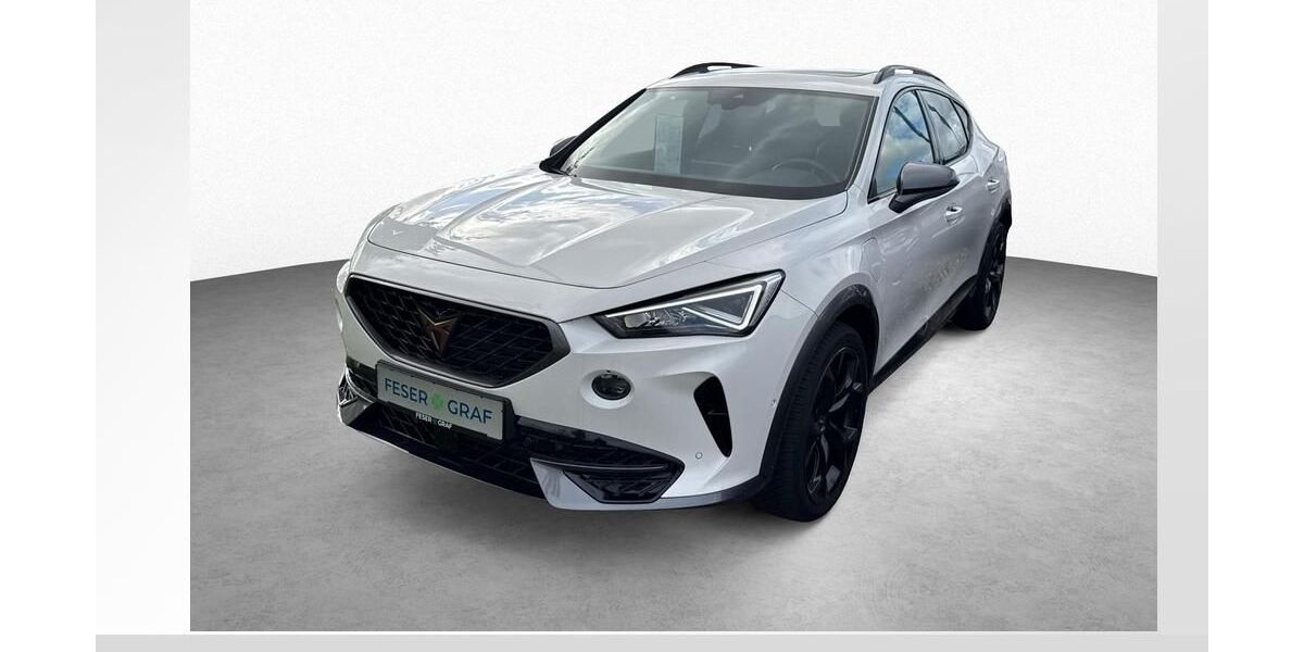 Cupra Formentor 10.950 km 30.950 &euro; Schwabach 91126