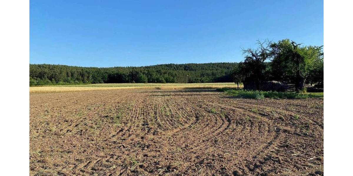 Einfamilienhaus Langenzenn - 4 Zimmer, 151 m&sup2;, 580.540&euro; | Angebot:25661062