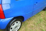 Lupo