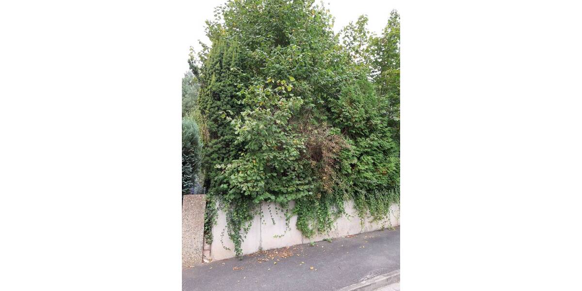 Einfamilienhaus Zirndorf Bronnamberg - 9 Zimmer, 160 m&sup2;, 469.000&euro; | Angebot:25662809