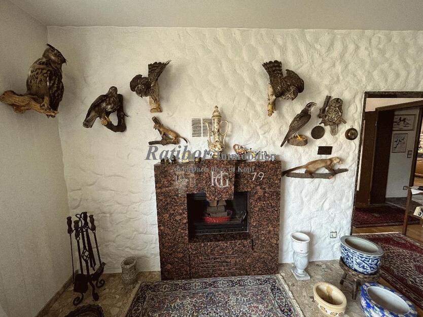 Sehr gepflegtes, geräumiges 3-Familienhaus mit 2 Doppelgaragen in begehrter Wohnlage in Roth OT 11 zimmer