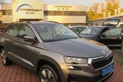 Skoda Karoq 1.001 km 35.890 &euro; Nürnberg 90431