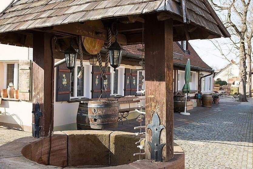 Ruhig und erholsam wohnen in direkter Nähe zum Marienbergpark