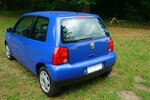 Lupo
