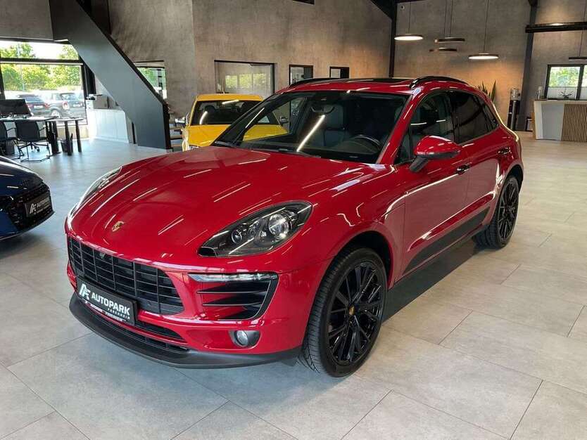 Macan
