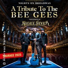Nights on Broadway - A Tribute to the Bee Gees performed by Night Fever Nürnberg