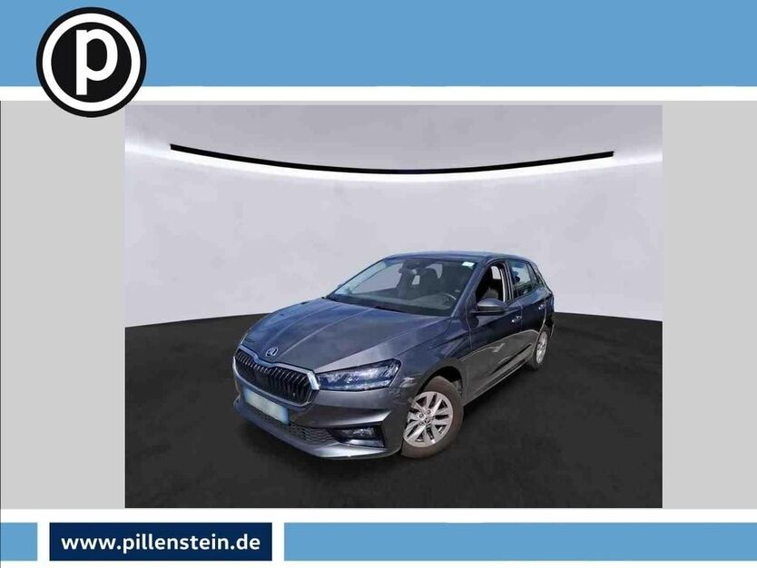 Skoda Fabia 69.550 km 13.911 € Fürth 90762