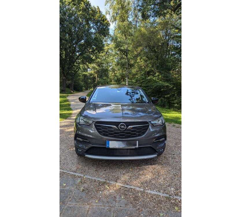 Grandland X