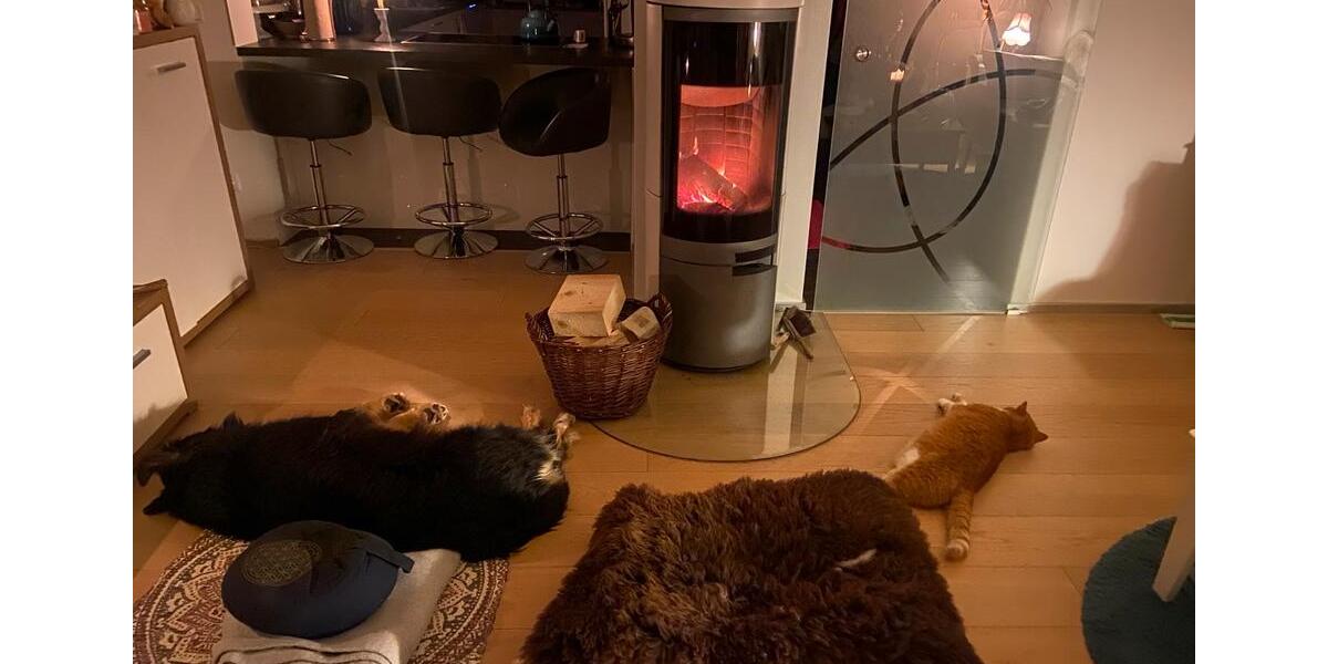 Haus zu vermieten 6.5 zimmer