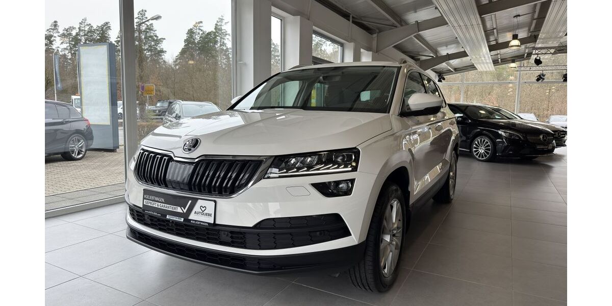 Skoda Karoq 79.708 km 21.950 &euro; Wendelstein 90530