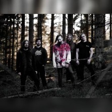 Konzert: Everything Dies | Birth of The Wicked & Brlabl 14.11.2025 Blackbox