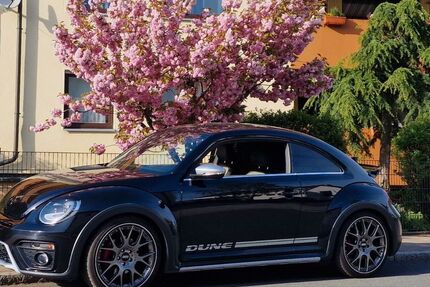 VW Beetle 93.500 km 19.000 &euro; Uttenreuth 91080