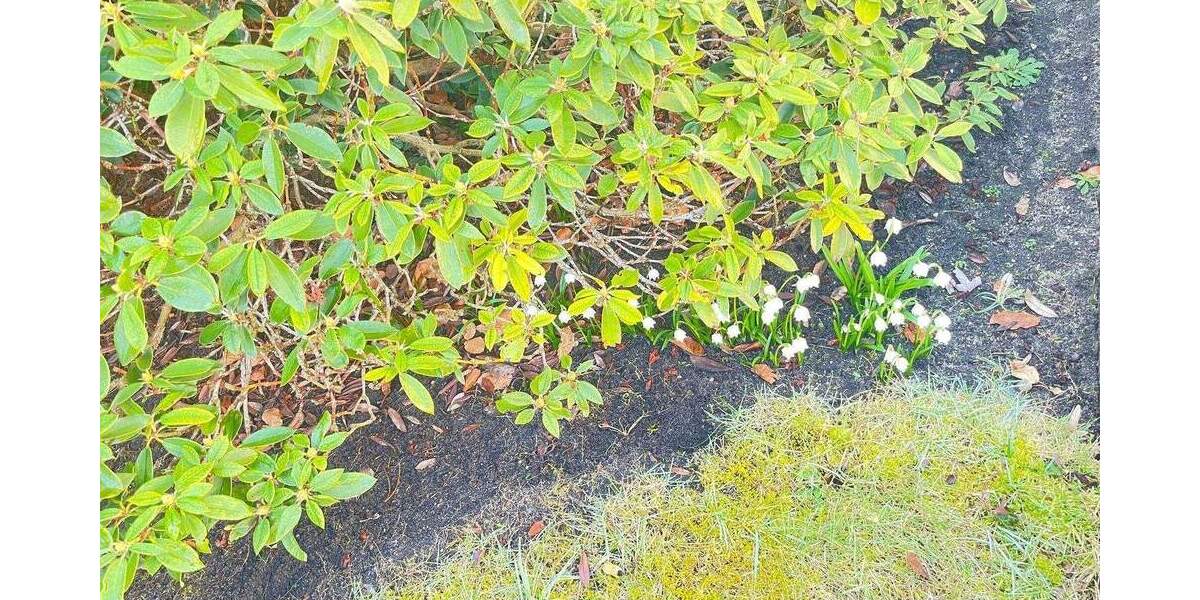 Mehrfamilienhaus, Wohnhaus Nürnberg Mögeldorf - 6 Zimmer, 155 m&sup2;, 1.187.000&euro; | Angebot:25314076