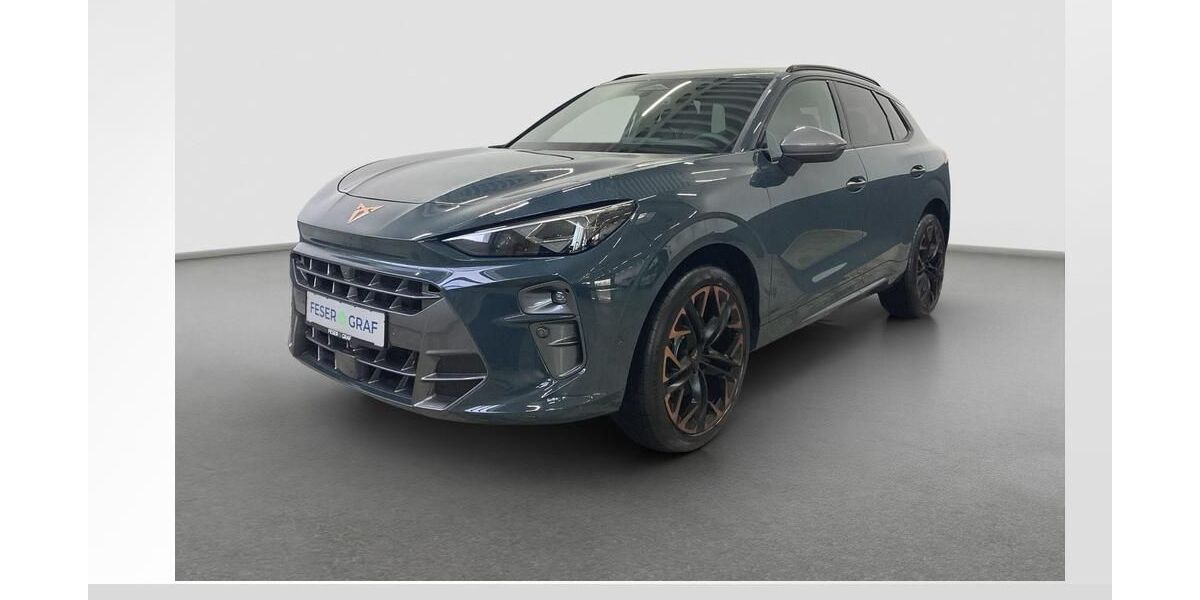 Cupra Terramar 15.000 km 54.440 &euro; Fürth 90763