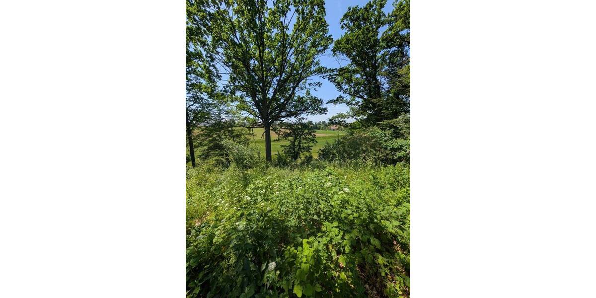 Grundstück Aurachtal / Falkendorf Falkendorf - 299.000&euro; | Angebot:26891586