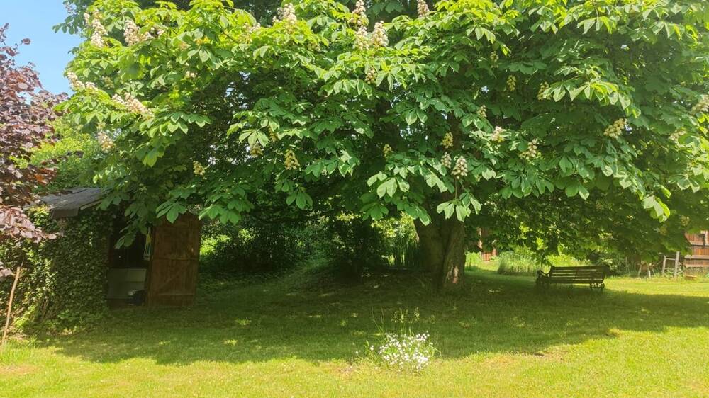 Grundstück Burgthann / Unterferrieden Burgthann - 89.500&euro; | Angebot:26289403