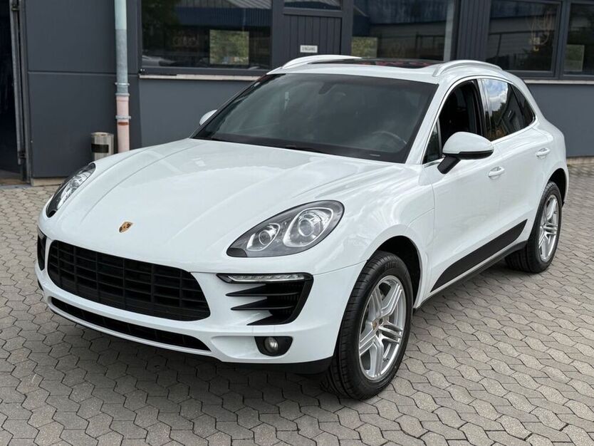 Macan