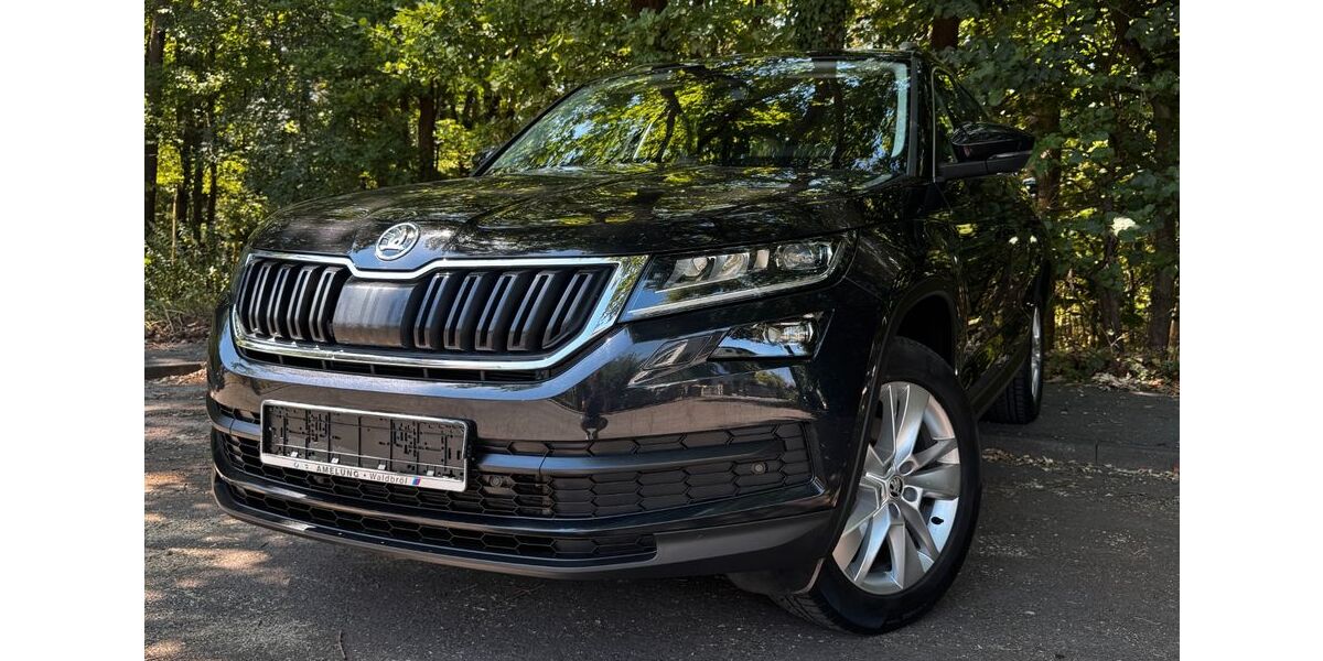 Skoda Kodiaq 101.500 km 17.490 &euro; Nürnberg 90455