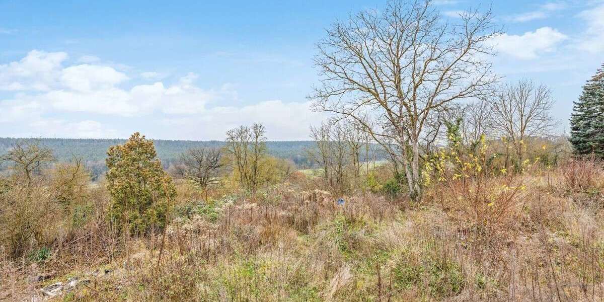 Grundstück zu verkaufen in Puschendorf 775.000 € 2181 m² zimmer