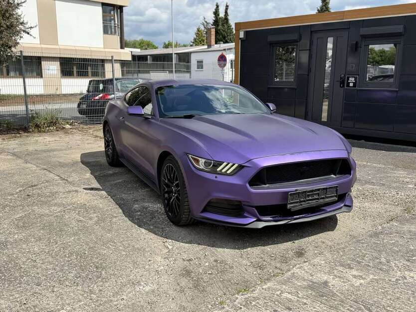 Mustang