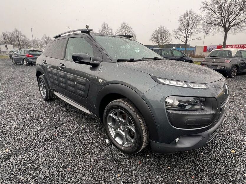C4 Cactus