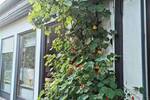 Etagenwohnung Kalchreuth Röckenhof - 4 Zimmer, 105 m&sup2;, 1.110&euro; | Angebot:25997339