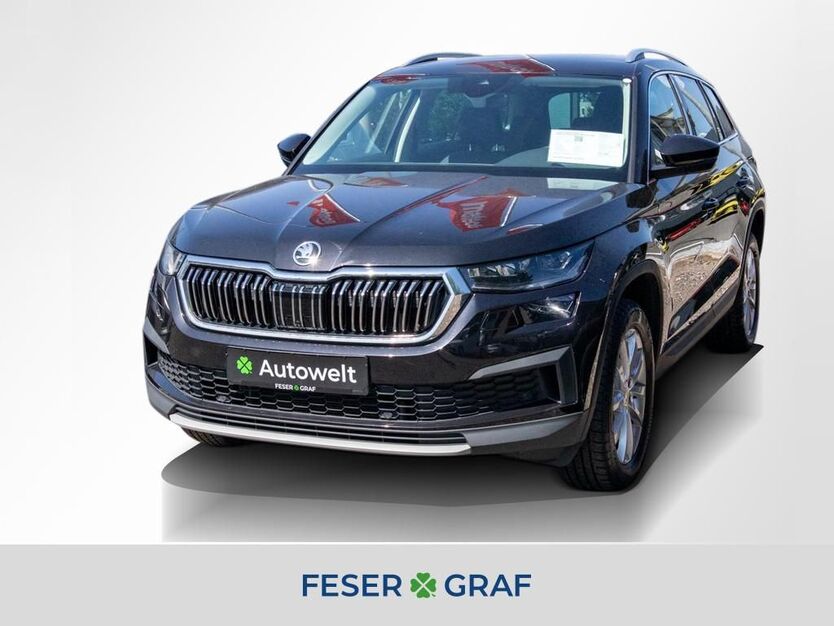 Skoda Kodiaq 102.250 km 28.650 € Nürnberg 90431