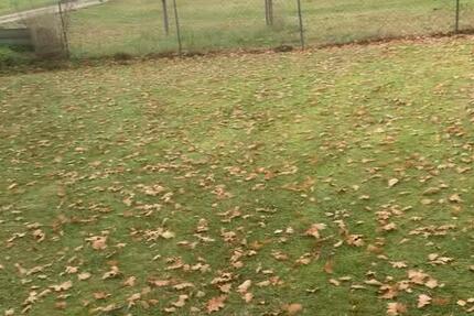 5 Zimmer Wohnung am Rothsee mit großem Grundstück zimmer