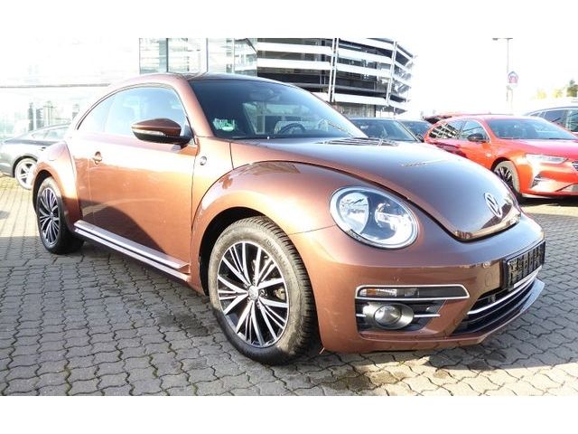 Beetle