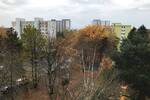Etagenwohnung Nürnberg Langwasser - 2 Zimmer, 40 m&sup2;, 499&euro; | Angebot:26643596