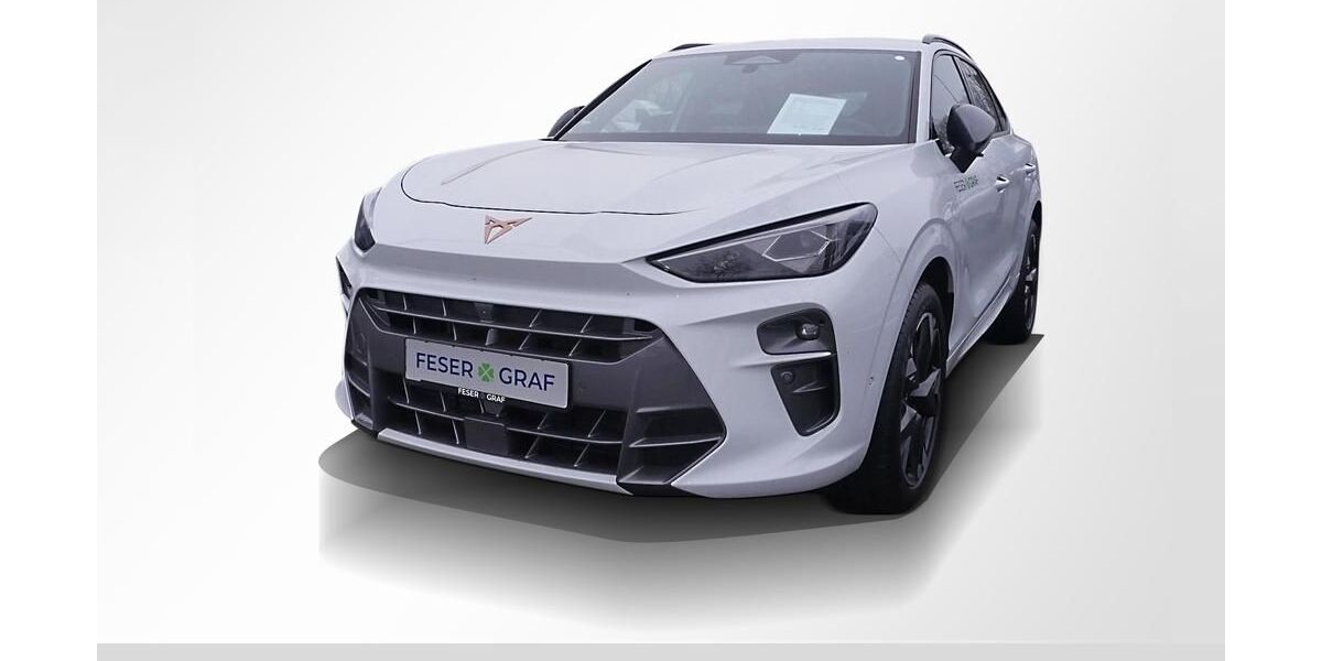 Cupra Terramar 5.000 km 44.480 &euro; Fürth 90763