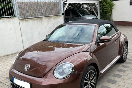 VW Beetle