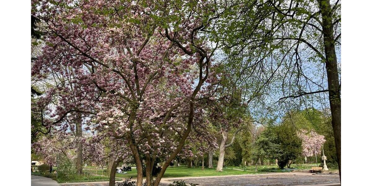 Gewerbeobjekt Fürth Innenstadt - 4 Zimmer, 359.000&euro; | Angebot:25210532