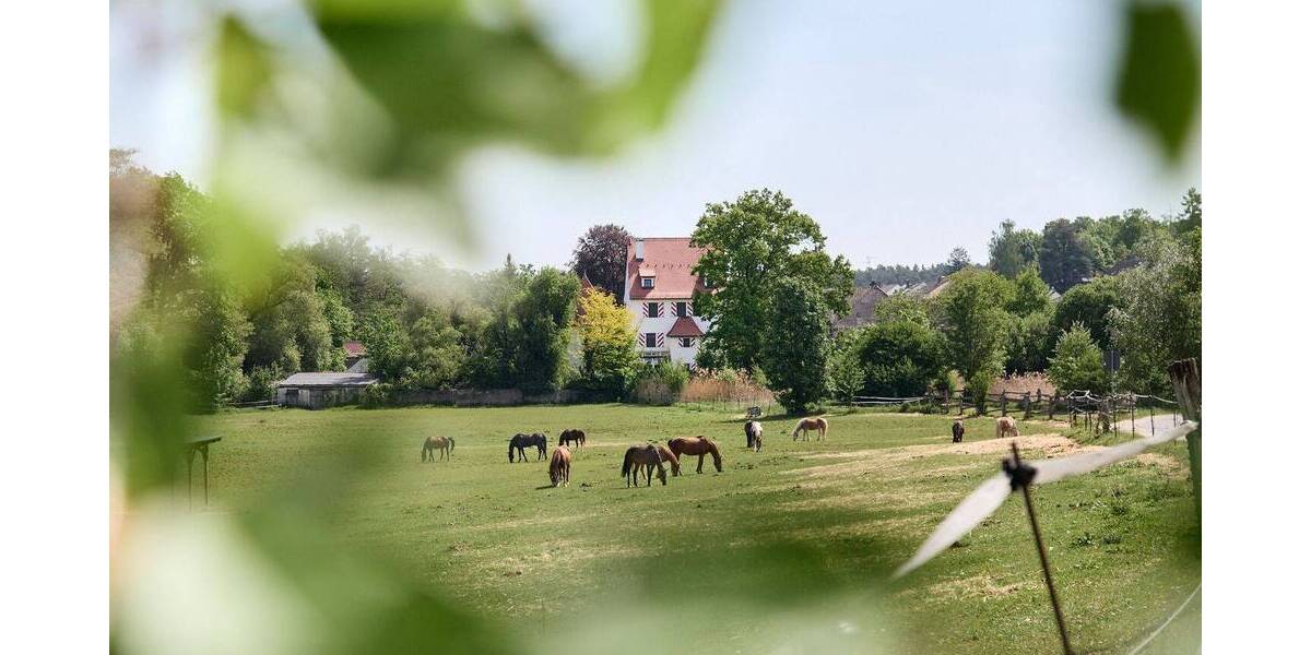 Etagenwohnung Schwabach Wolkersdorf - 4 Zimmer, 100 m&sup2;, 349.000&euro; | Angebot:26595029
