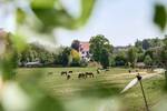 Etagenwohnung Schwabach Wolkersdorf - 4 Zimmer, 100 m&sup2;, 349.000&euro; | Angebot:26595029