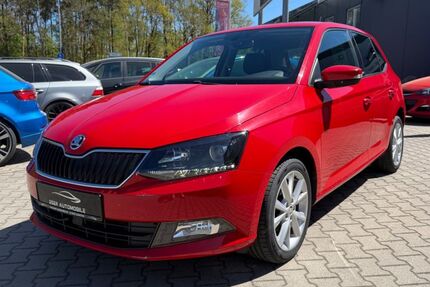 Skoda Fabia 59.000 km 9.000 &euro; Wendelstein 90530