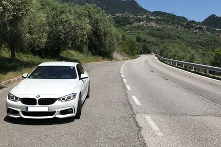 BMW 420 Gran Coupé 115.563 km 23.000 € Allersberg 90584