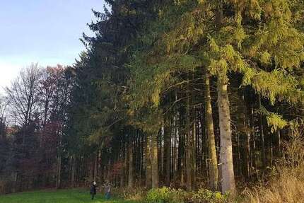 Grundstück in Hormersdorf Schnaittach 69.000 € 15400 m² zimmer